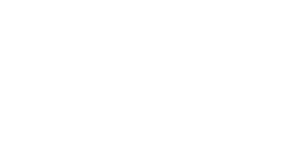 Specialty Novel Inc